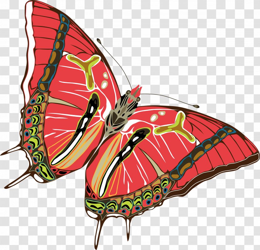 Monarch Butterfly Moth Nymphalidae - Emilia - Vector Transparent PNG