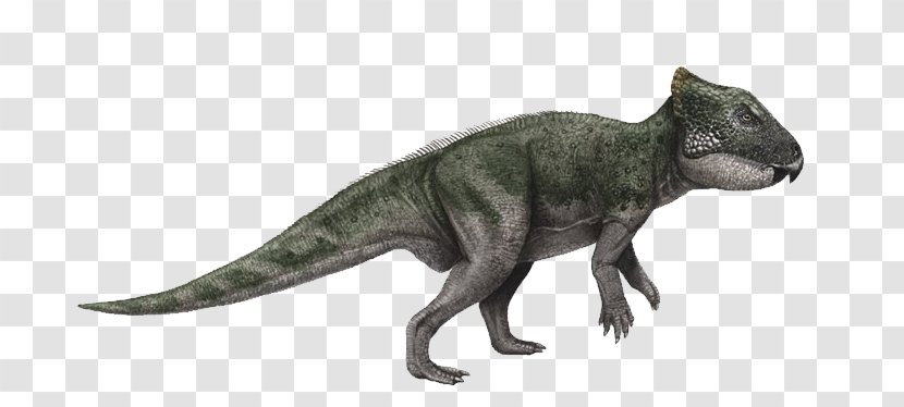 Dinosaur - Animal Figure - Extinction Wildlife Transparent PNG