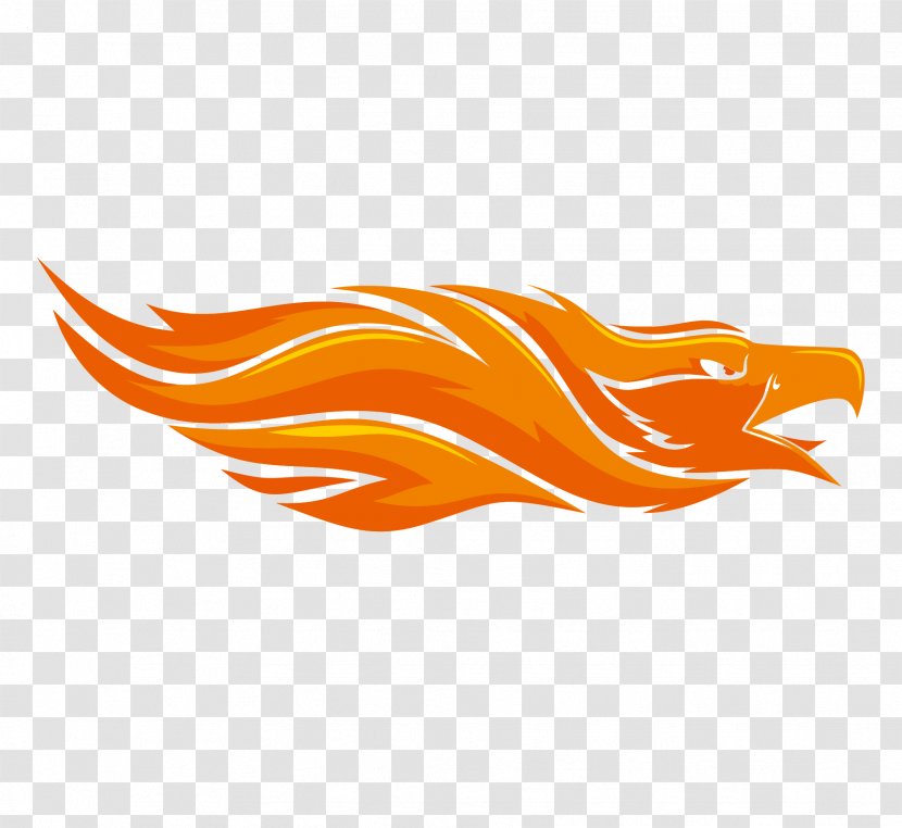 Bird Flame Phoenix - Wing - Eagle Transparent PNG