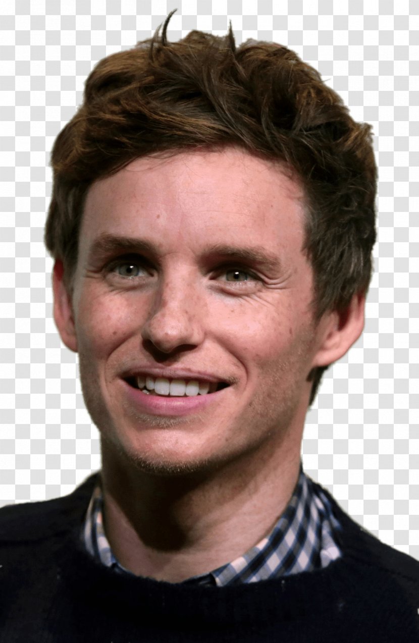 Eddie Redmayne Academy Award For Best Actor Murphy's Romance Murphy Jones - Hairstyle Transparent PNG