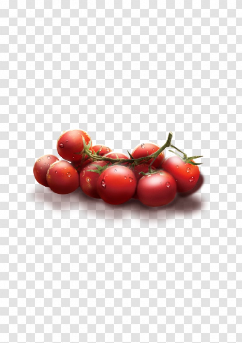 Plum Tomato Cherry Fruit Auglis - Cranberry - Tomatoes Transparent PNG