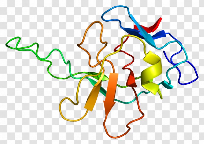 RABIF Protein Gene RAB8A - Flower - Watercolor Transparent PNG