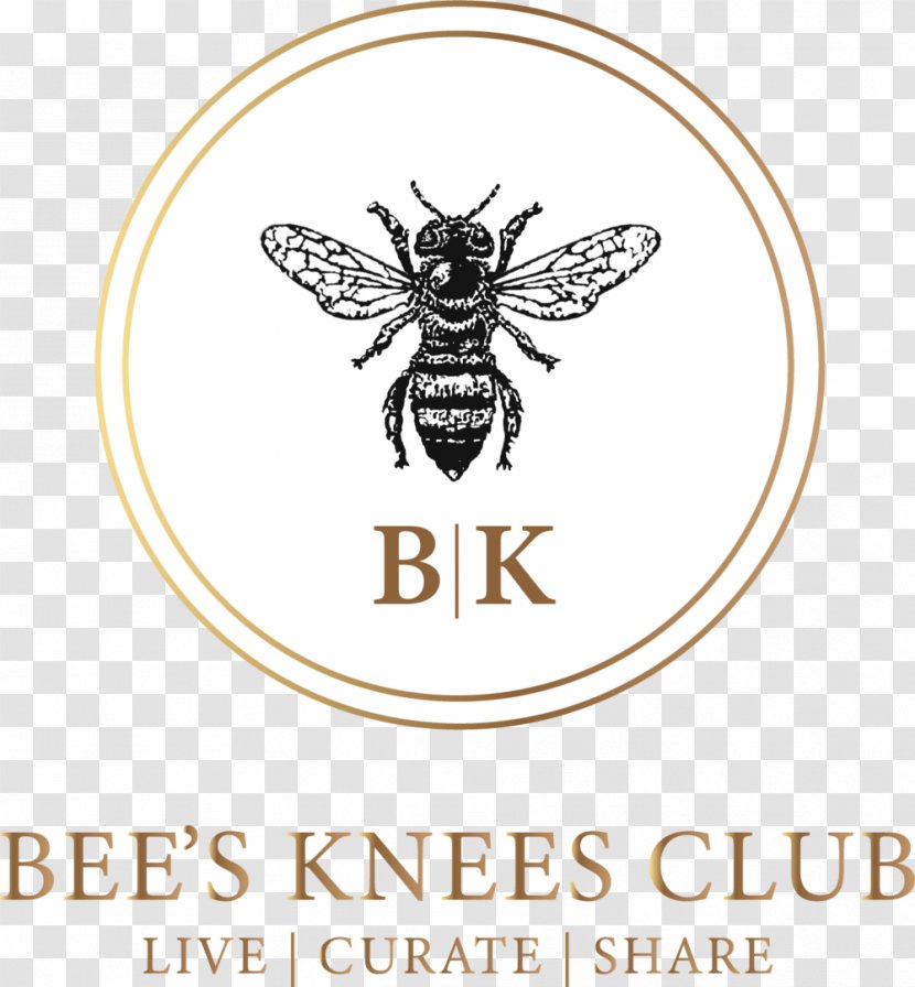 Honey Bee Logo Brand - Pest Transparent PNG
