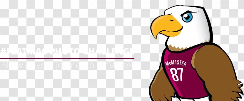 McMaster University Alumni Association Penguin Clip Art - Mcmaster Marauders Transparent PNG