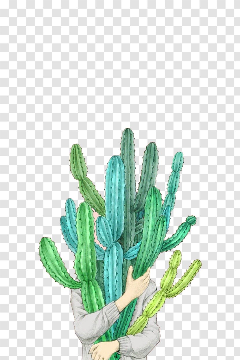 Taobao Tmall Cactaceae Illustration - Love - Cactus Transparent PNG