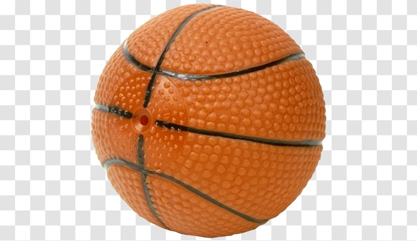 Basketball Sport Football Volleyball - Ball Transparent PNG