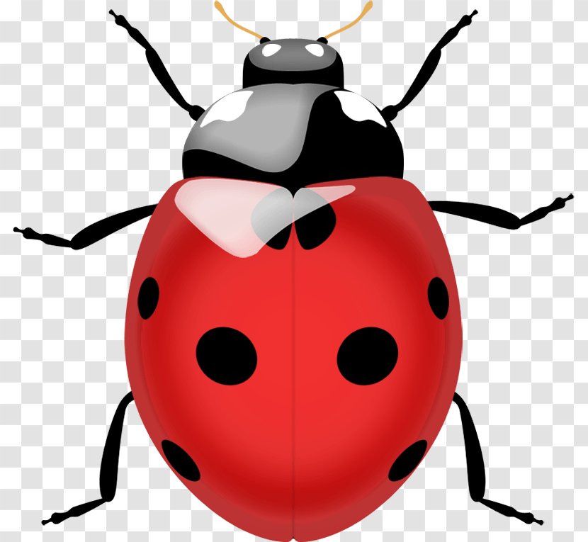 Beetle Ladybird Lady Bug Realtors Edrina Fitting, Coccinella Septempunctata FL - Clip Art - Ladybug Image Transparent PNG