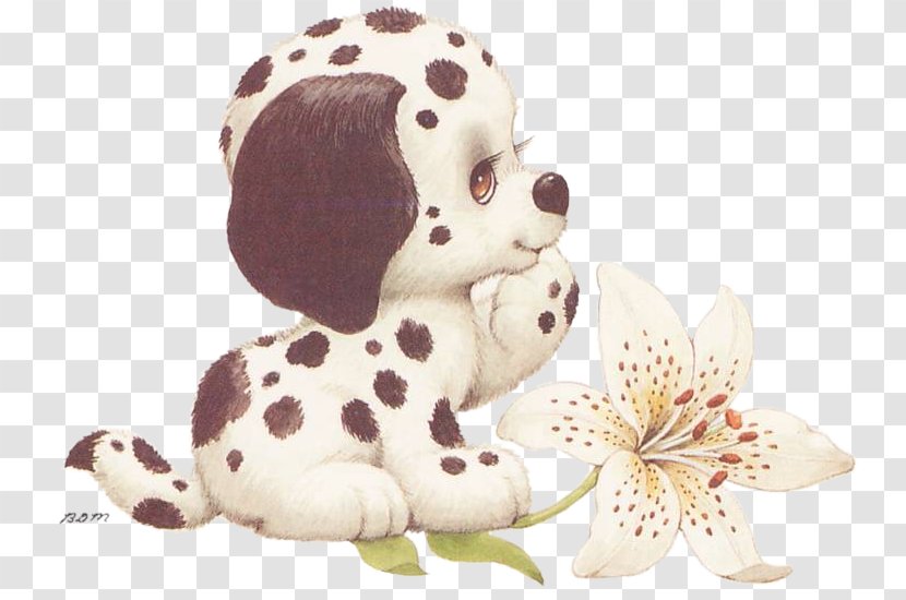 dalmatian spaniel puppies