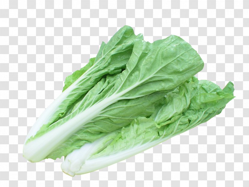 Chinese Cabbage Vegetable Bok Choy Seed - 2 Parts Of Transparent PNG