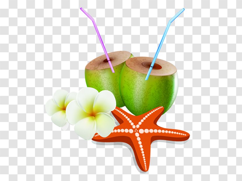 Coconut Milk - Sea - Starfish Flower Transparent PNG