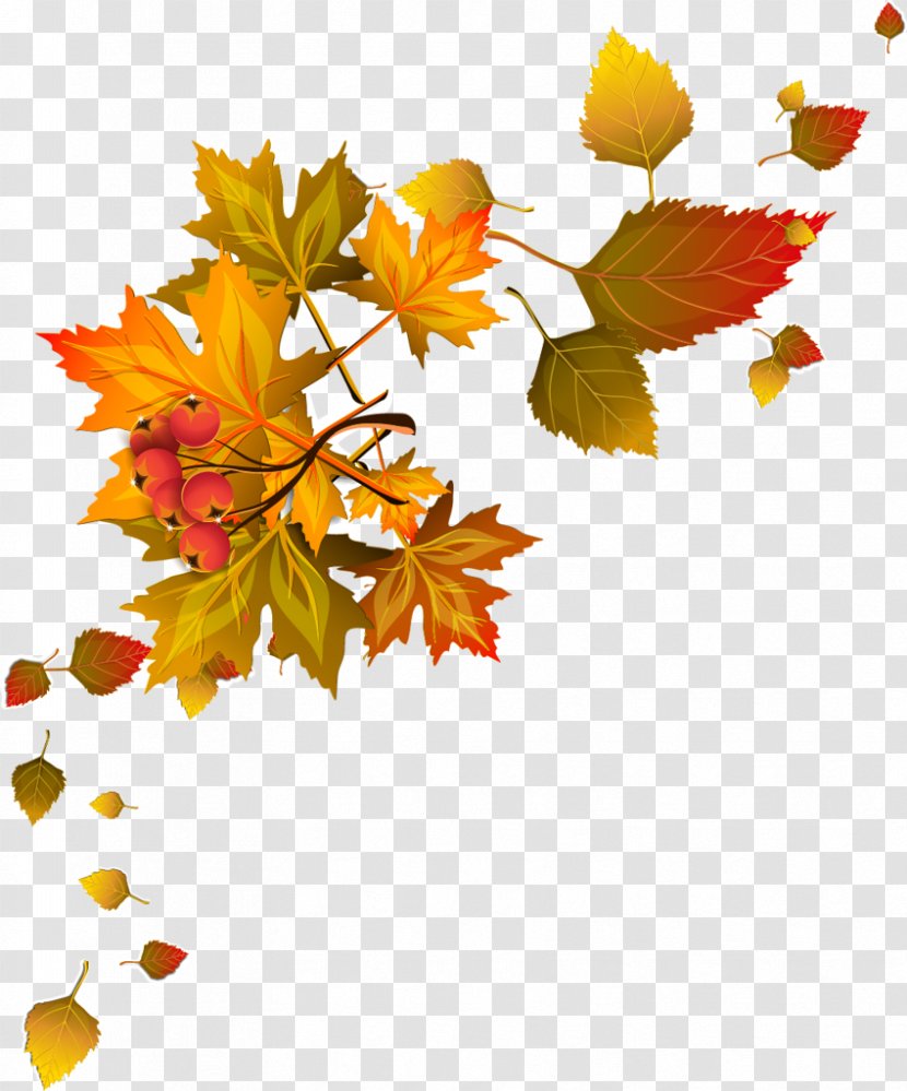 Autumn Leaf Color Clip Art - Floral Design Transparent PNG