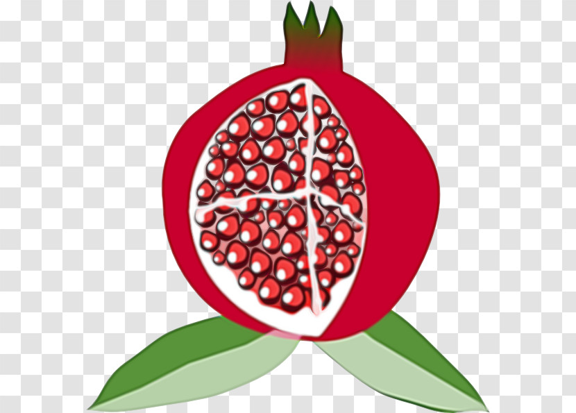 Leaf Fruit Pomegranate Plant Berry Transparent PNG