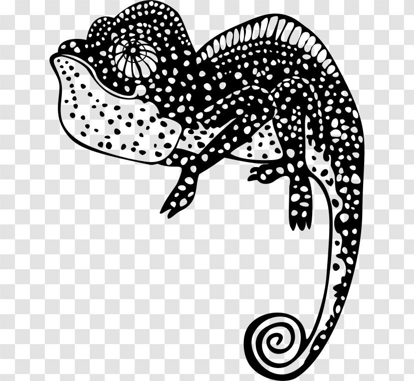 Chameleons Lizard Paper Drawing Clip Art - Monochrome - Chameleon Transparent PNG