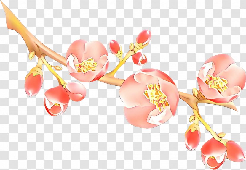 Artificial Flower - Nail - Moth Orchid Transparent PNG