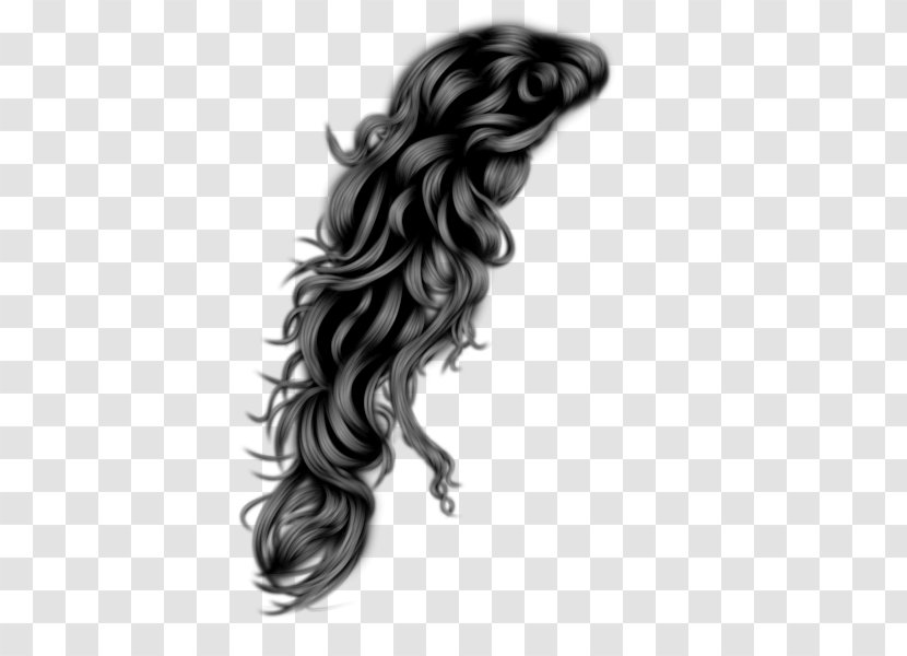 Hairstyle Clip Art Black Hair - And White Transparent PNG