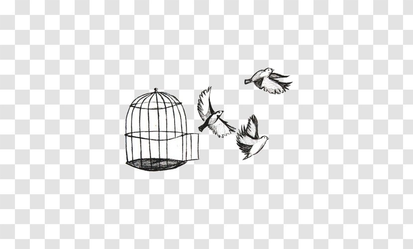 Birdcage Drawing Bird Flight - Wing - Discount Cages Transparent PNG