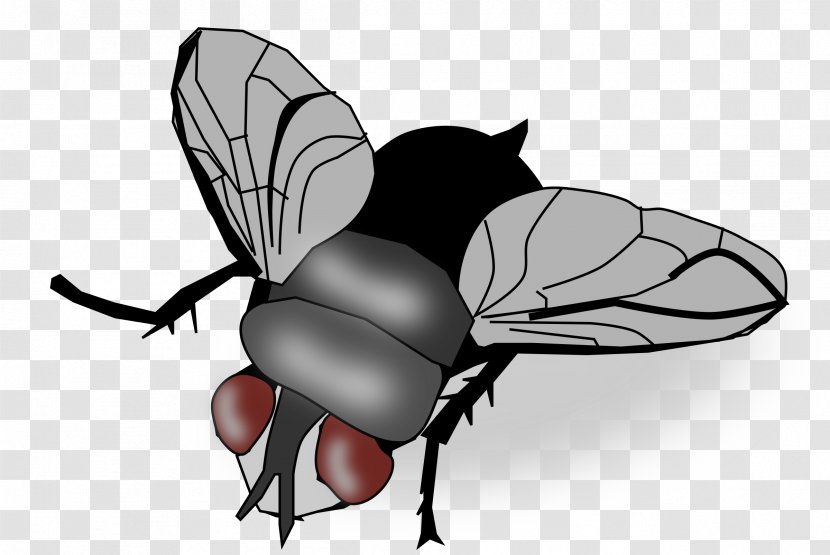 Insect Fly Clip Art - Pollinator Transparent PNG