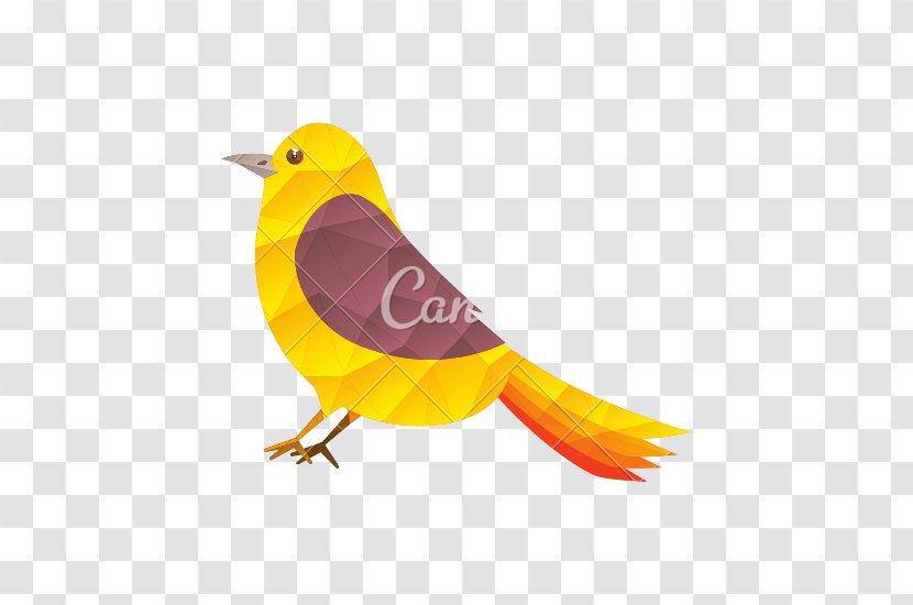 Bird Domestic Canary - Beak - Boho Arrow Transparent PNG