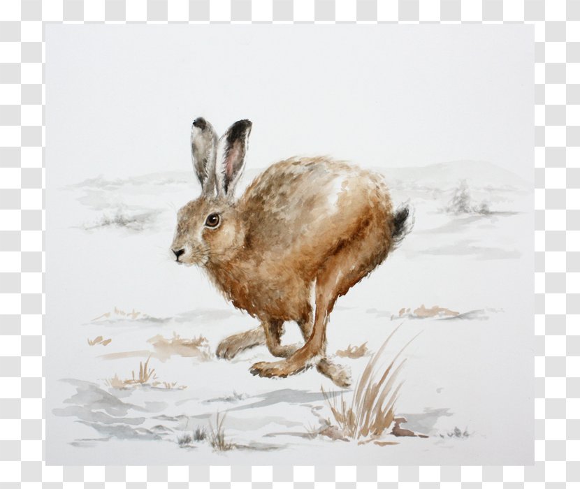 Domestic Rabbit Paper Screen Printing Hare - Artist - Countryside Transparent PNG