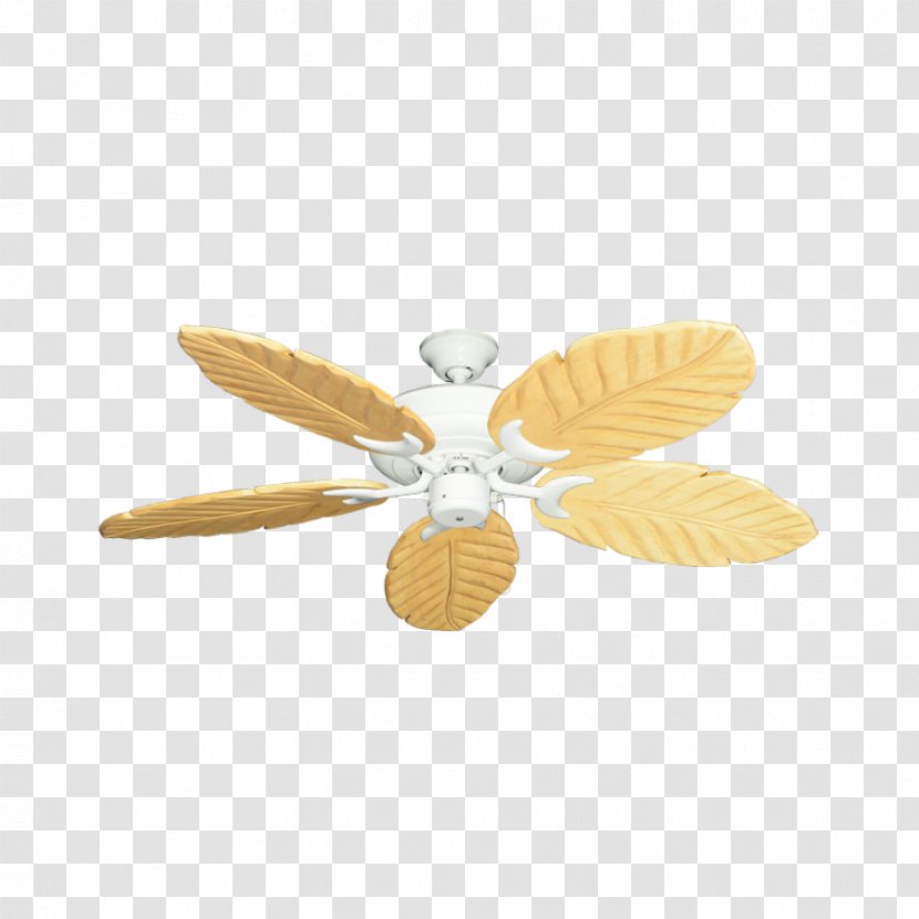 Insect Butterfly 2M Fan Wing - Propeller - Palm Transparent PNG