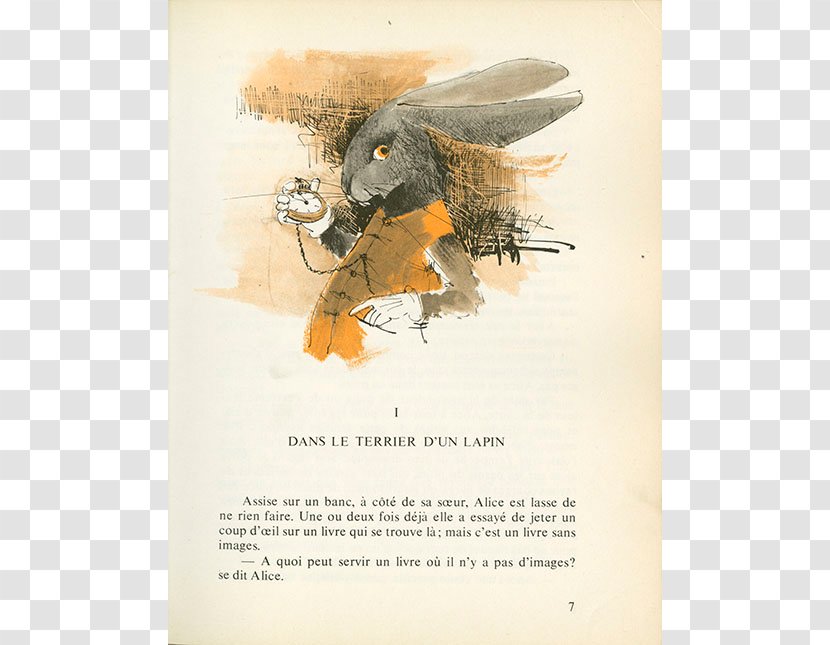 Beak Poster - Bird - White Rabbit Alice Transparent PNG