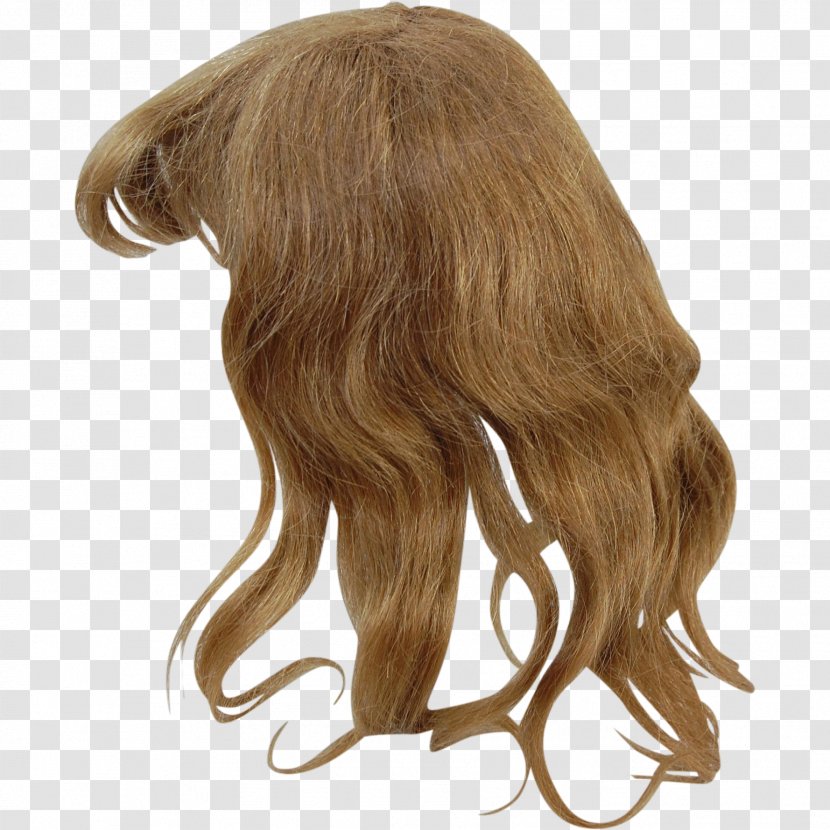 Brown Hair Wig Blond Coloring - Clothing Accessories Transparent PNG