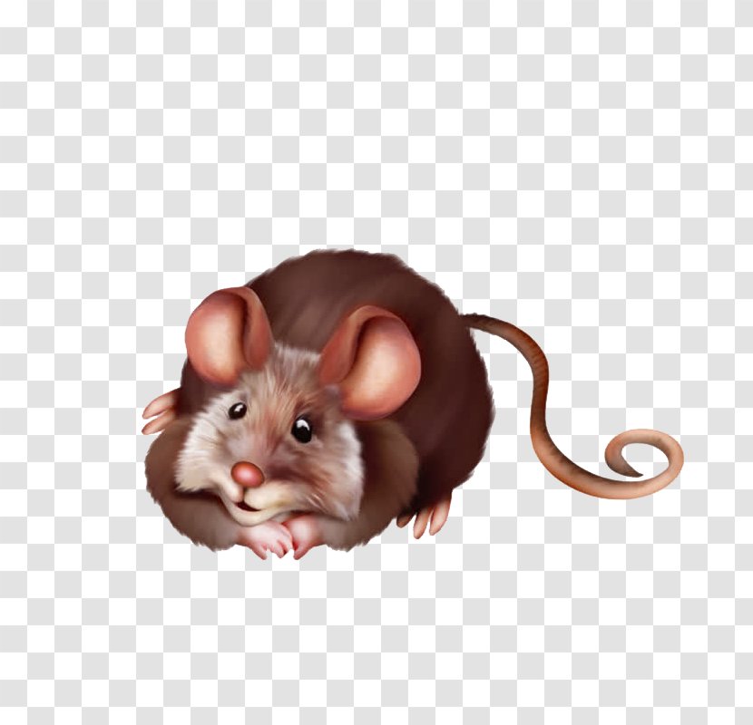 Computer Mouse Muis Krysa Clip Art - Snout - Cartoon Transparent PNG