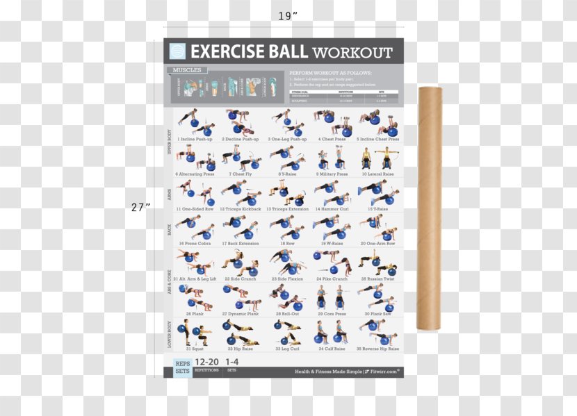 Exercise Balls Bands Dumbbell Physical Fitness - Text - Poster Transparent PNG