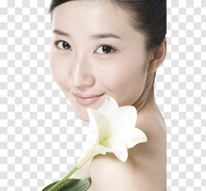 Beauty Skin Care Face Eyebrow - Hair Coloring - Flowery Transparent PNG