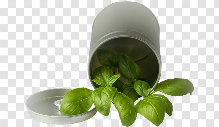 Basil Spice Pianta Aromatica Vegetable Condiment - Ingredient - Cylinder Green Leaves Transparent PNG