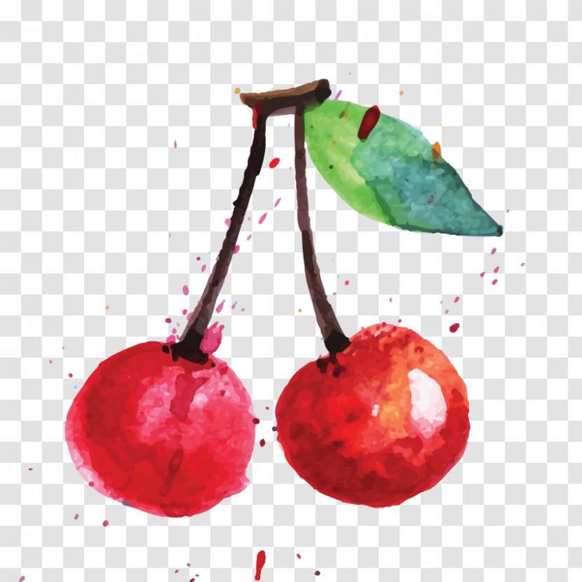 Food Cherry Fruit Art - Drawing Transparent PNG