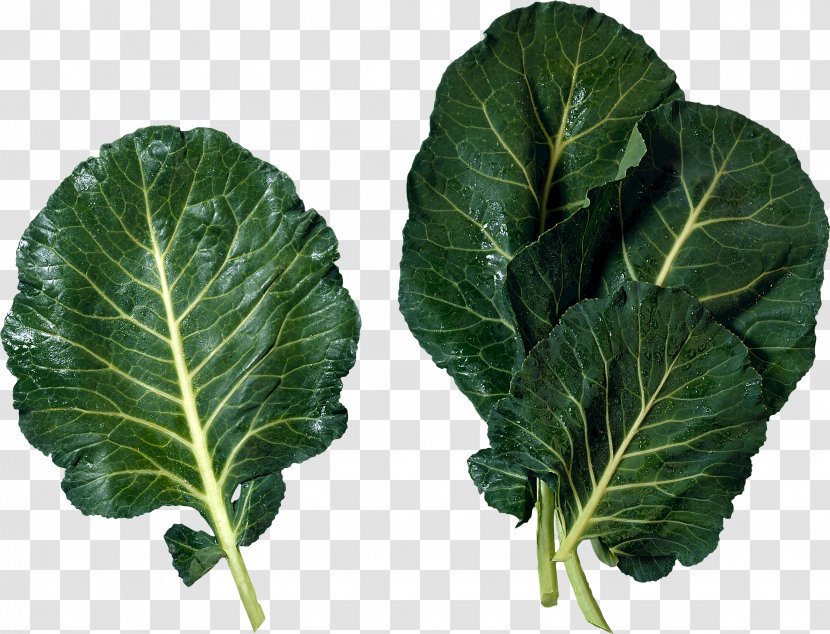 Cabbage Marrow-stem Kale Cuisine Of The Southern United States Brussels Sprout Leaf Vegetable - Green Salad Image Transparent PNG