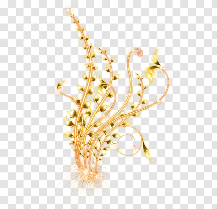 Body Jewellery Grasses Cereal Grain - Food Transparent PNG