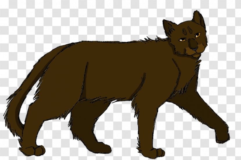 Whiskers Red Fox Wildcat Fur - Snout - Cat Transparent PNG