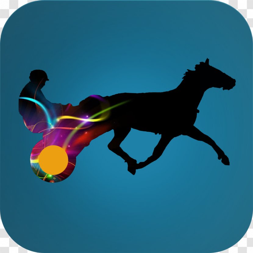App Store Screenshot MacOS Apple Lenormandkarten - Mustang Horse Transparent PNG