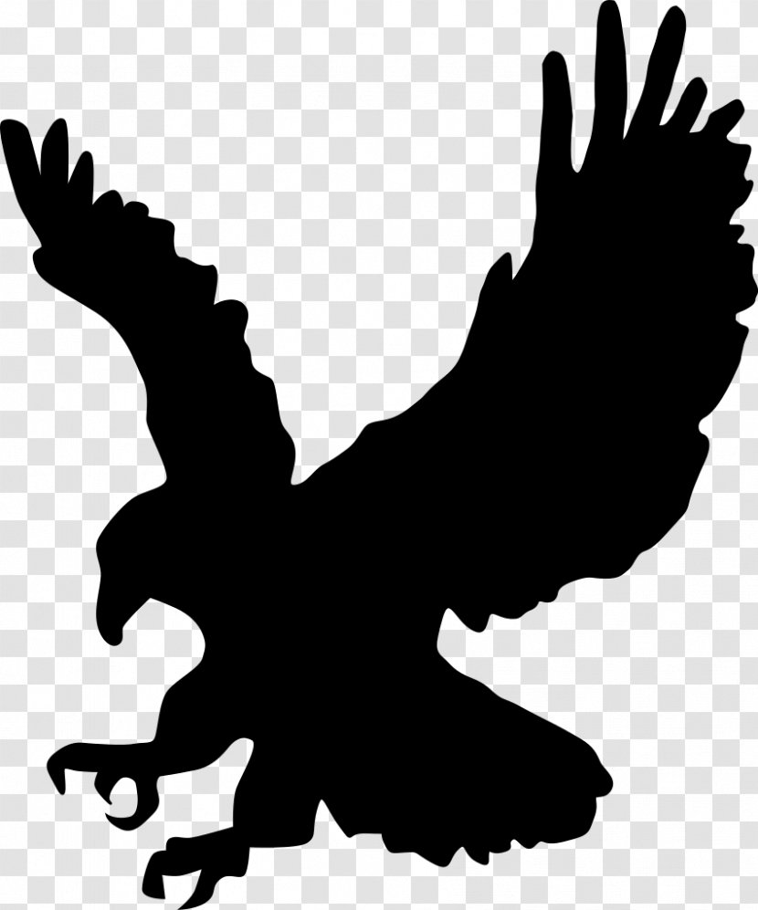 Bald Eagle Clip Art - Silhouette Transparent PNG