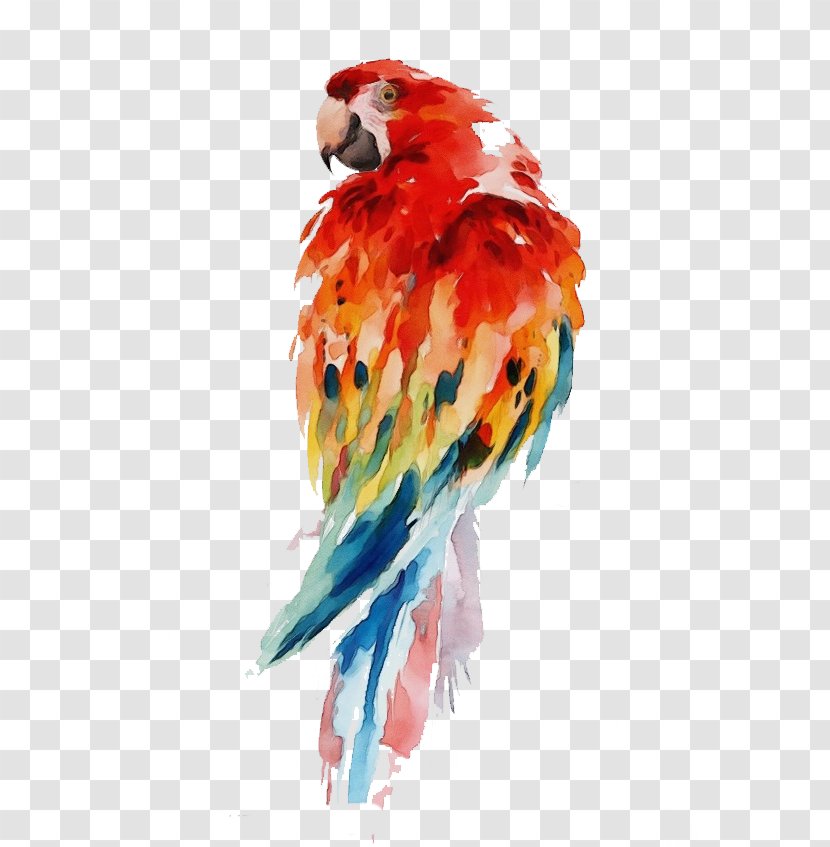 Watercolor Cartoon - Bird - Wing Parrot Transparent PNG