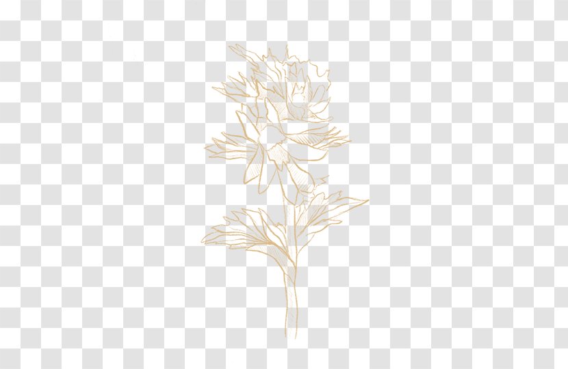 Twig Drawing Plant Stem Leaf /m/02csf - Branch Transparent PNG