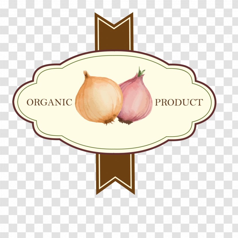 Shallot Illustration - Sticker - Onion Tag Vector Transparent PNG