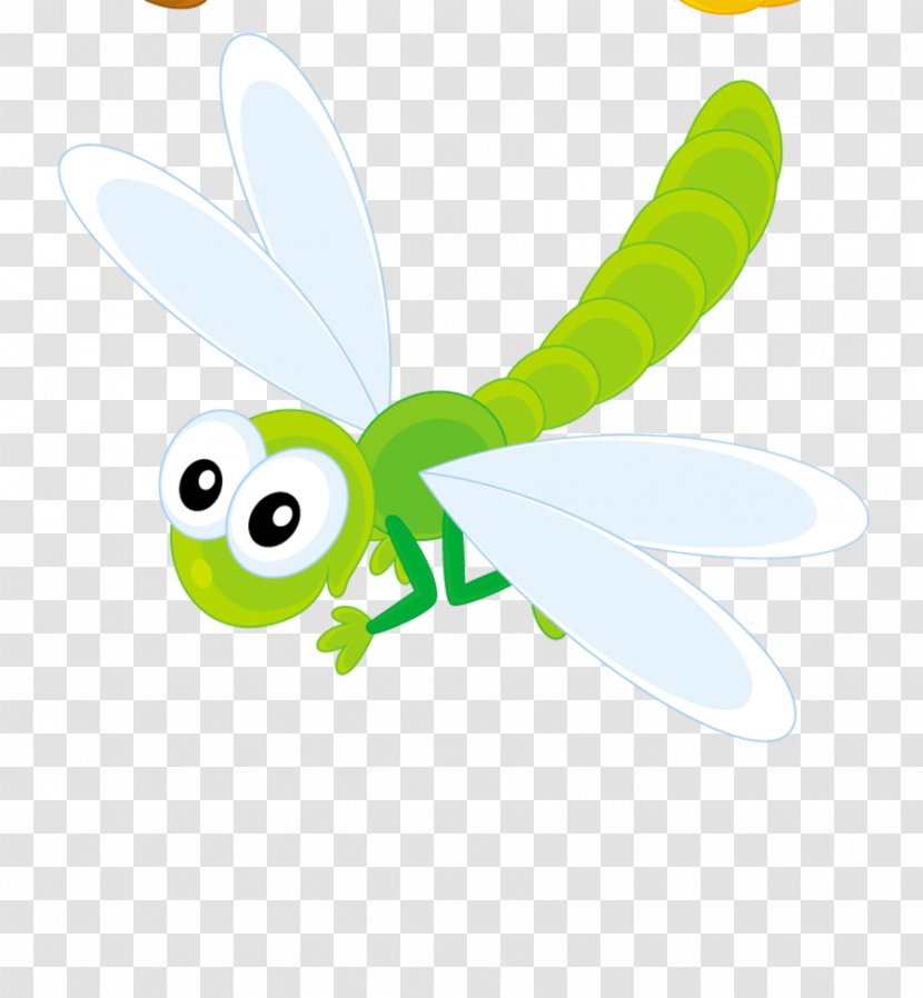 Dragonfly Insect Clip Art - Organism Transparent PNG