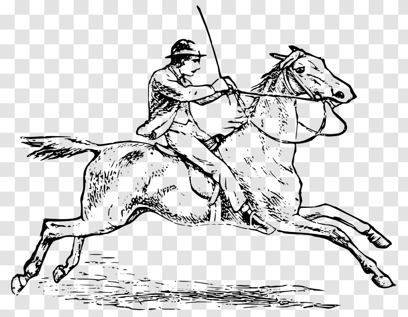 Horse Equestrian English Riding Clip Art - Joint Transparent PNG