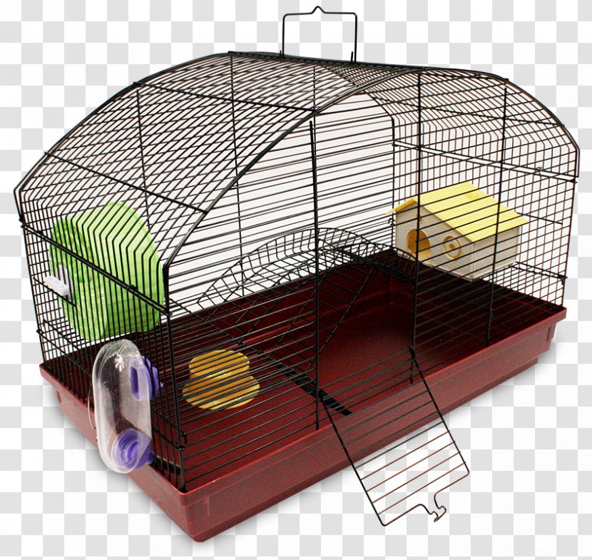 Hamster Guinea Pig Cage Rodent Pet - Santa Fe - Jaula Transparent PNG