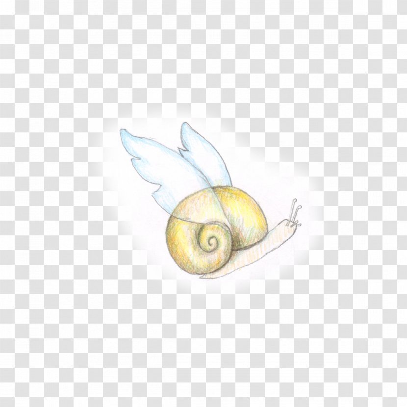 Snail /m/02csf Drawing Fruit - Pearl - Ayano Ornament Transparent PNG