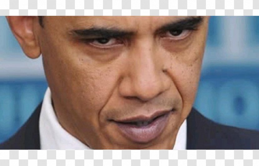 Chin Education In The United States Cheek Forehead - Eyebrow - Obama Foundation Transparent PNG