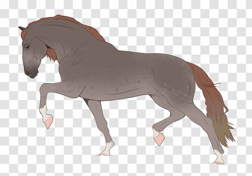 Stallion Mustang Foal Pony Mare - Sparrow Transparent PNG