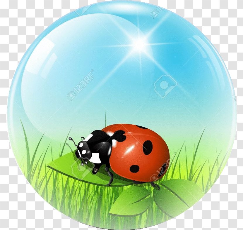Sphere Ball Clip Art - Membrane Winged Insect Transparent PNG