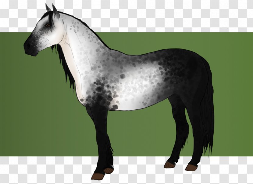 Stallion Mustang Mare Halter Pony - Bridle Transparent PNG