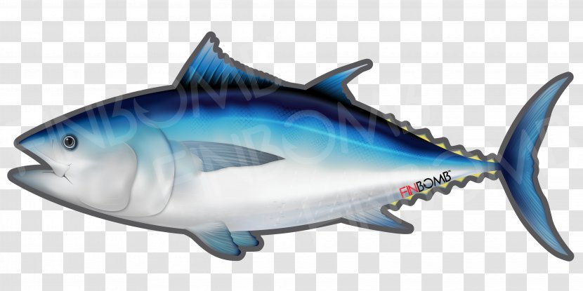 Thunnus Sushi Yellowfin Tuna Atlantic Bluefin Fish - Electric Blue Transparent PNG