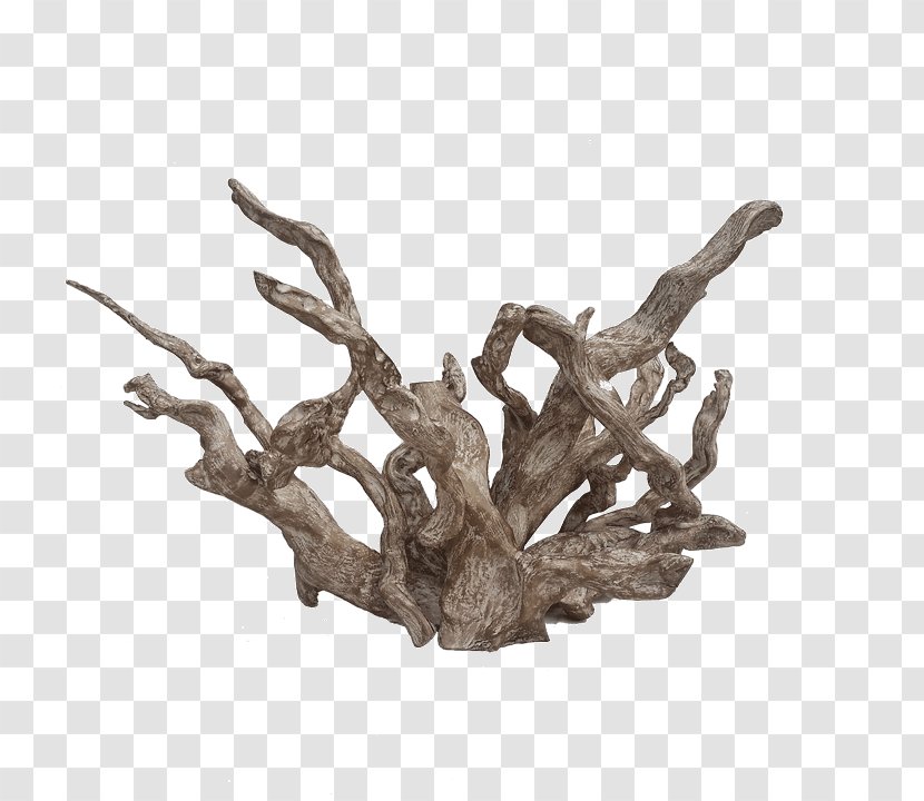Driftwood Art White River Coral - Washington - Collection Transparent PNG