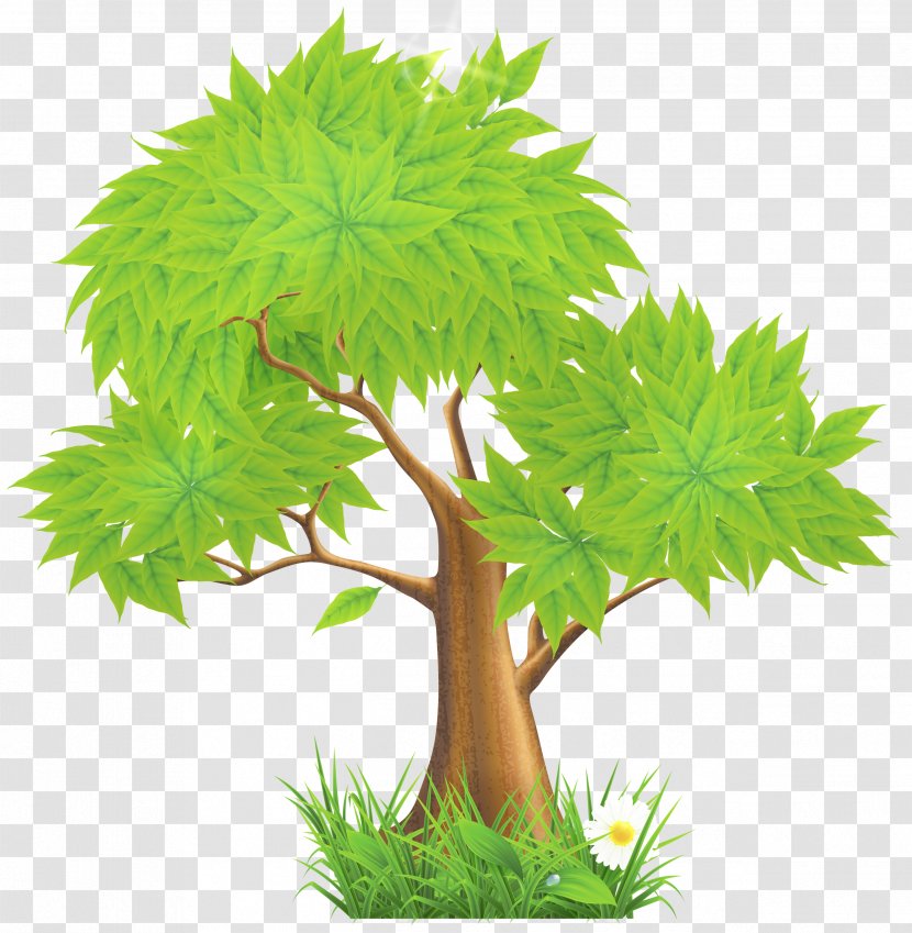 Euclidean Vector Green Illustration - Tree - Painted Clipart Transparent PNG